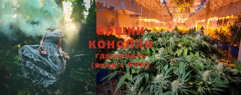 площадка наркотические препараты  Городовиковск  Канабис OG Kush 